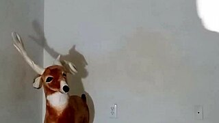 Show off zodiac patience without touching yourself