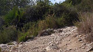 Latina Aixmen La Cubana Flashes Big Pussy Lips In Underwear!