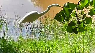 Latina couple's park romp with big cock