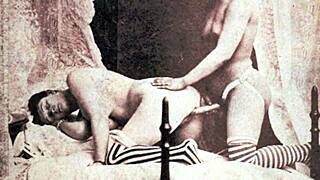 dark lantern entertainment presents the sins of our step grandmothers from my secret life the erotic confessions of a victorian english gentleman