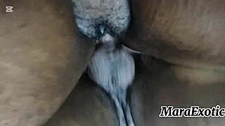 Mara Exotic's Creamy Hairy Pussy Backshots In POV