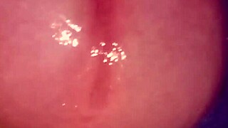 Softcore Masturbation with Penis in Solo Session