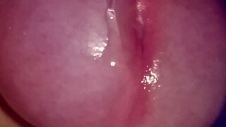 Softcore Masturbation with Penis in Solo Session