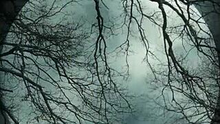 markgotham83 šuká badarse