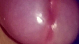 Softcore Masturbation with Penis in Solo Session