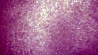 Ebony Pussy Played With Football In Intimate Close-Up Scenes