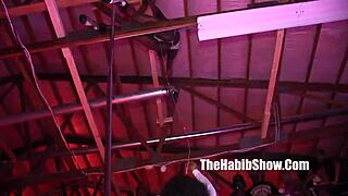 sexy freaks misty stone in unique sutra fire queen