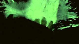 vintage antique retro drawings set