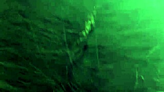 Tits Out! POV Blowjob With Cumshot On Big Natural Tits!