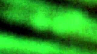 Close-Up View Of Amateurs Wife