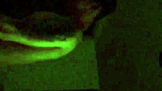 Hotwife Records For Husband