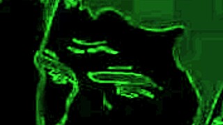 Enjoying an orgy with Barbie and friends in the Czech Republic