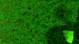 O desafio de silhueta de Nicoli Fox e Leo Ogro os tornou famosos em Belford Roxo RJ