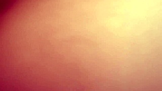 doggy style shot captured with a macro lens