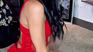 Миниатюрная эскорт устраивает body party в Далласе с tryst и p411