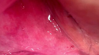 Amateur pussy explored 172 days post-virginity