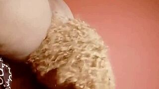 My updat 429 vid from aug 26 2024