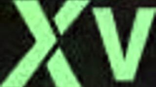 Le gusta que la cojan por el pelo