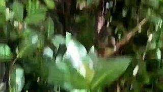 Three Hotties With Hairy Pussies And Big Asses Get Naughty In The Forest!