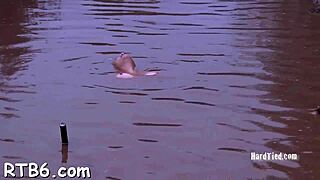 tossed up hotty is punished