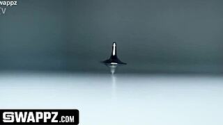 stepbros trade stepsisters for facial fucks