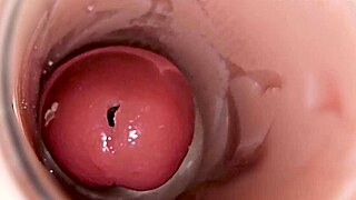 Camera Captures Huge Sperm Ejaculation Inside Deep Pussy