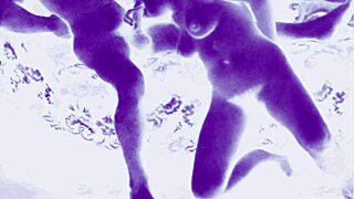 vintage antique retro drawings collection for viewing.