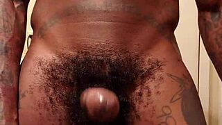 the brunette worships the big black hairy cock, hallelujah johnson style, in black porn, free stuff 😘