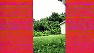 The perfect video to masturbate to, a must watch!