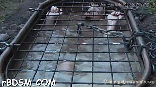 Brunette beauty gets holes fucked with toys