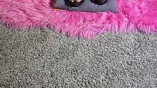 Bound Babe Balances Precariously on Spikey Stilettos in Fetish Tease