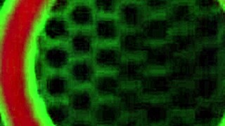 did rome major cover kate faucett's face with cum after sex?