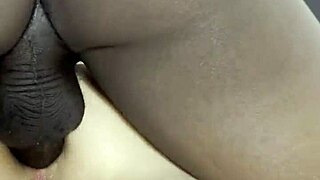 massive challenge vs ultimate competitor showdown