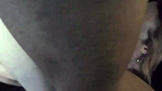 The tale of an insatiable adventurer