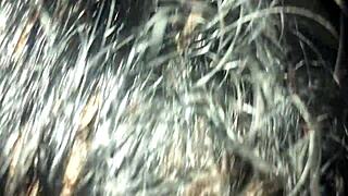 Madre Soltera Me Chupa La Pinga En Un Taxi Paseando Por Las Calles De Lima