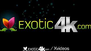 Exotic4K Skillful Deep Throat Chicks Sloppy Dick Sucking Party