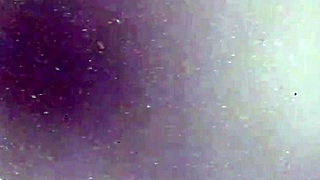 bitch has a big pussy