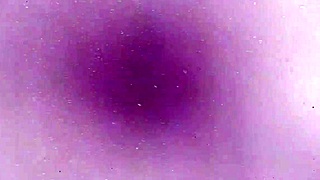 bitch has a big pussy