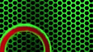 Busty Hot Milf Kyra Rose Gets Ass and Pussy Fucked by Rome Major