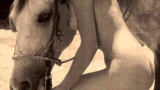 Dark Lantern Entertainment Presents Classic Vintage Shows