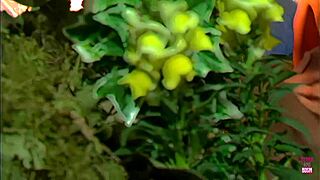 Dreamy Forest Fuck: Sexy Brunette Rides Ripped Tattooed Guy Hard!