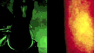 Vintage Erotic Antique Retro Scenes