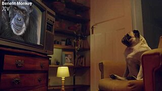 benefit monkey europes candee licious and lili charmelle indulge in threesome with toys and oral sex.