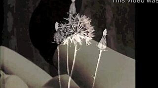 Vintage Erotic Antique Retro Scenes