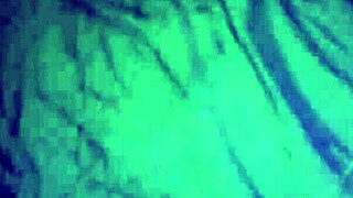 First video getting sucked by escort for cum