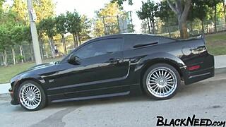 Interracial Sex Video With A Bbw 😘