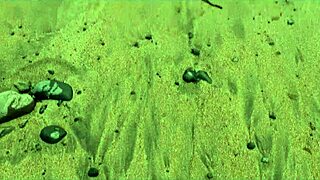 beautiful italian babe silvia soprano got dominated roughly on the beach in norway with hard slapping spitting and kinky play