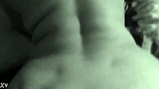 Mexican adventure unfolds in casual everyday story