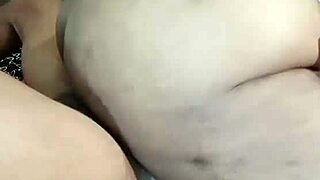 petal's latest update from nigarchrist