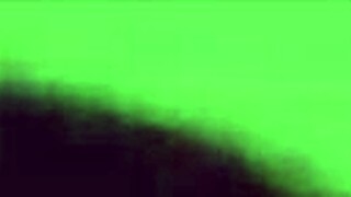 Linda Nalgona appears in a homemade clip